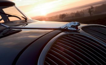 Peugeot 402 Löwenkopf